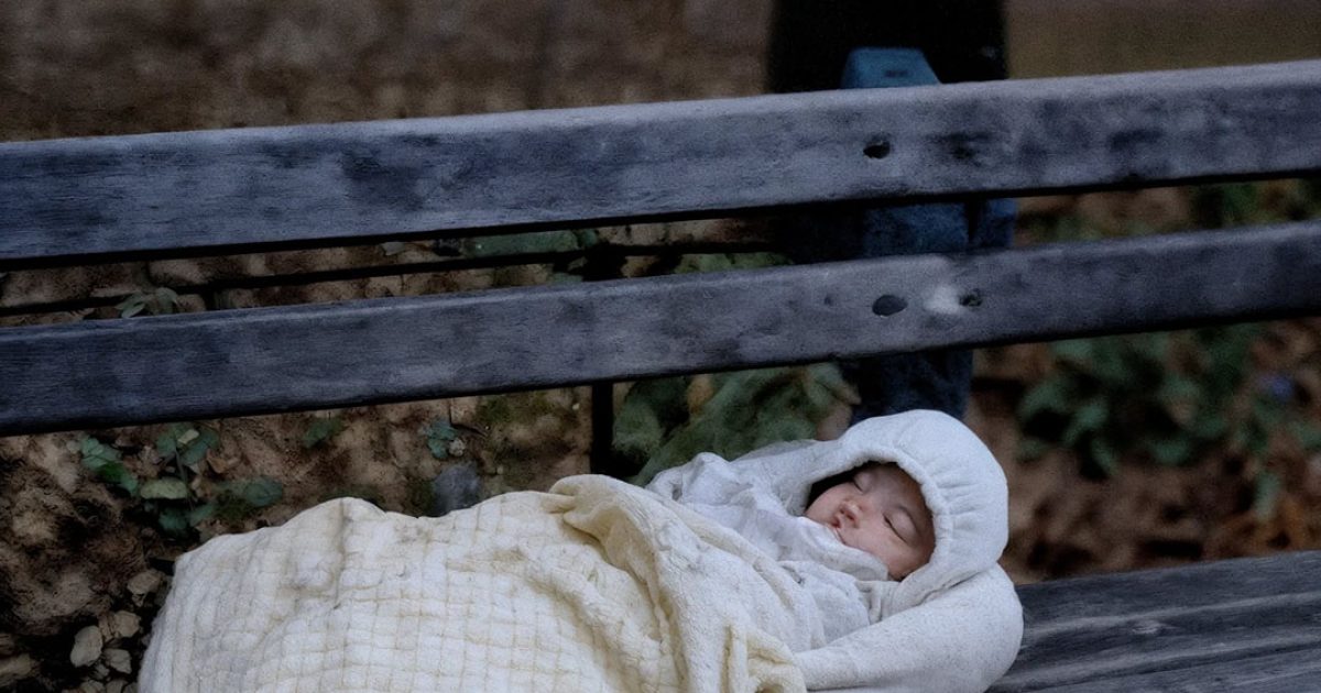 J’ai découvert un nouveau-né en pleurs, abandonné sur un banc — mais en apprenant qui il était, ma vie a basculé à jamais.