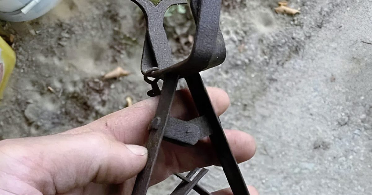 J’ai découvert un objet métallique dans le jardin de mes grands-parents et j’ai été stupéfait en apprenant ce que c’était