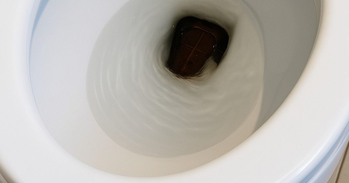 J’ai soulevé le couvercle des toilettes ce matin et je me suis figé. Au début, je pensais que c’était juste un objet… jusqu’à ce que ça bouge.