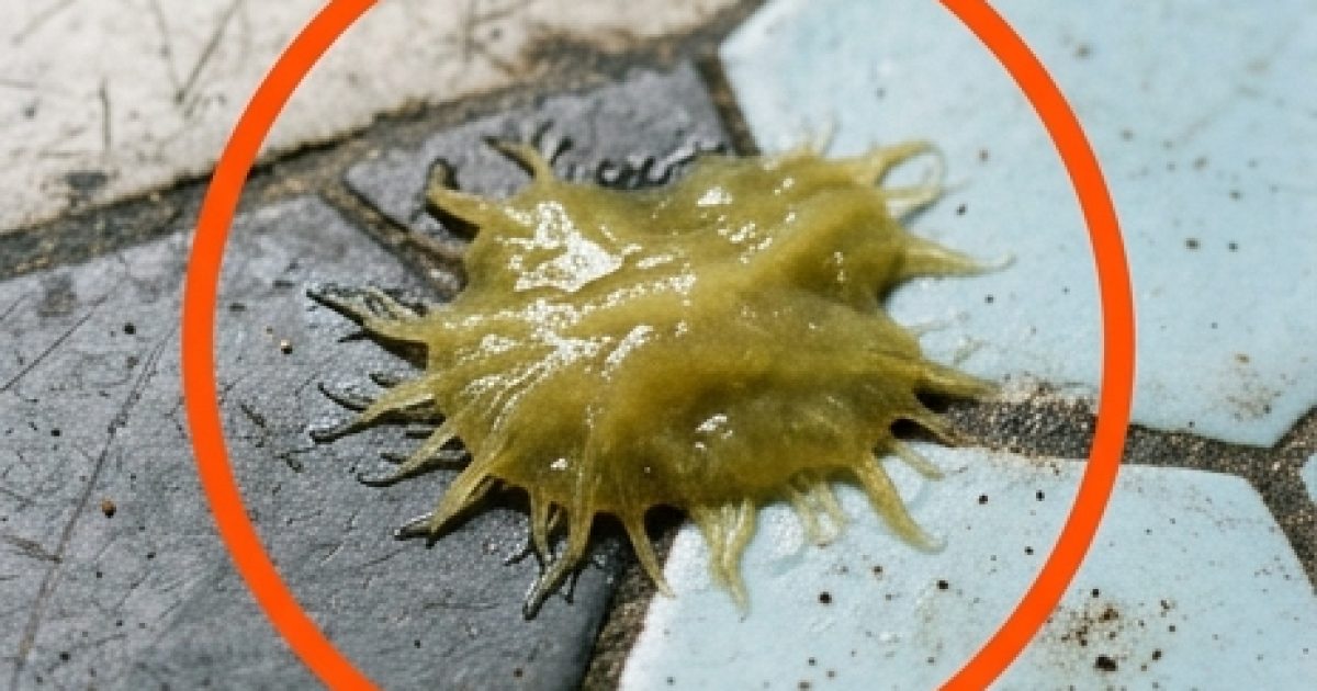 J'ai trouvé ça dans la salle de bain de ma copine. Ça fait une heure qu'on le regarde et on n'arrive toujours pas à comprendre ce que c'est