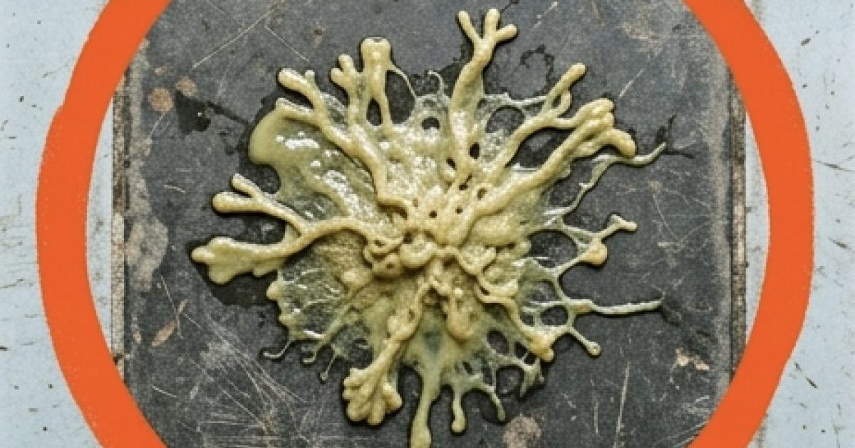 J'ai trouvé ça dans la salle de bain de ma copine. Ça fait une heure qu'on le regarde et on n'arrive toujours pas à comprendre ce que c'est