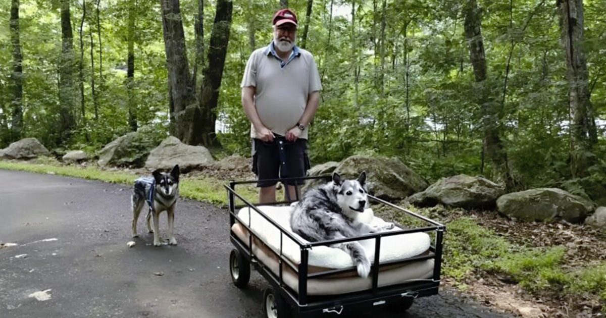 Je lui ai demandé pourquoi il ne laissait pas partir son chien… Sa réponse me hante encore aujourd’hui