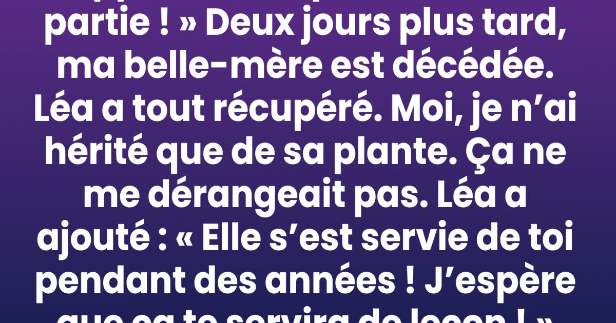 Je n’ai hérité que d’une vieille plante — la vérité qu’elle recelait a tout changé.
