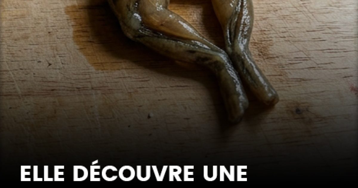 « Je n’arrive plus à manger » : elle découvre une patte de grenouille dans une boîte de petits pois, Lidl ouvre une enquête