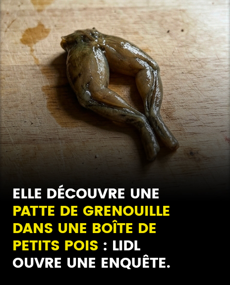 « Je n’arrive plus à manger » : elle découvre une patte de grenouille dans une boîte de petits pois, Lidl ouvre une enquête