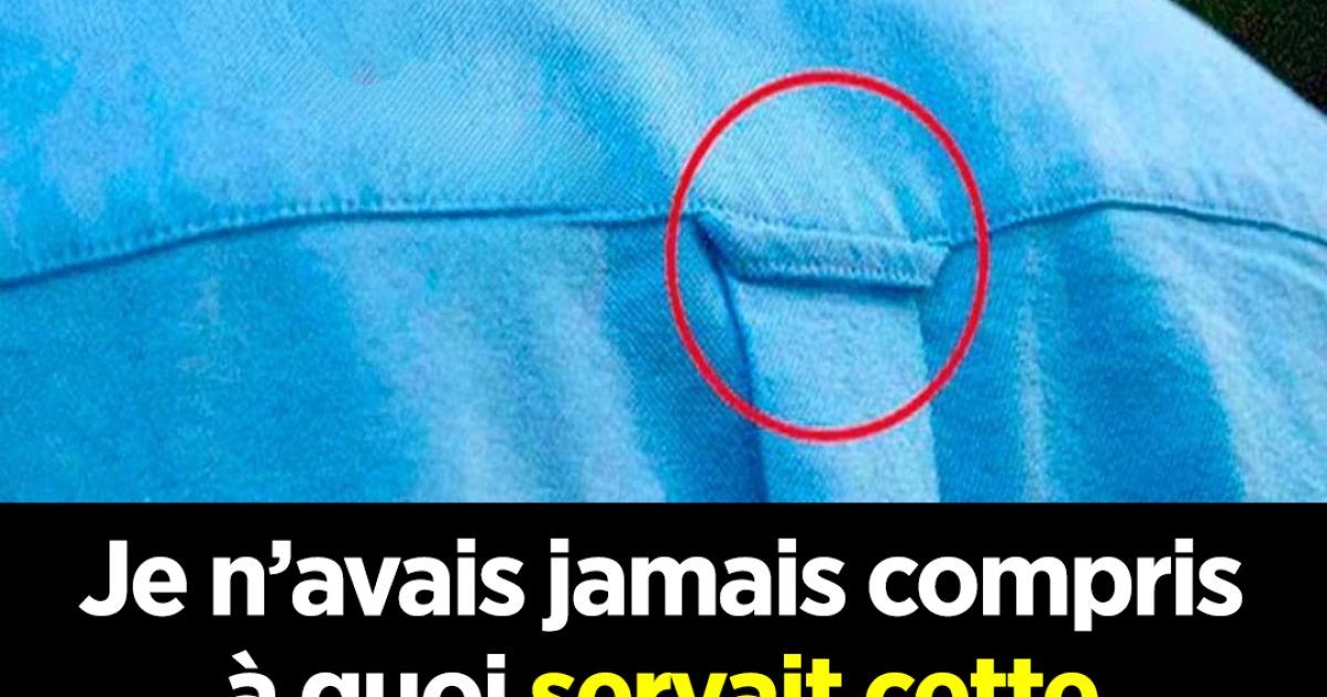 Je n’avais jamais compris à quoi servait cette boucle sur ta chemise — jusqu’à ce qu’on me la montre