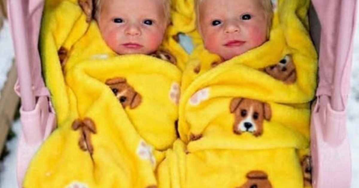 Je pensais que ma vie était déjà difficile après le divorce… jusqu’au jour où mon fils de 16 ans est entré, tenant des jumeaux nouveau-nés, et a dit : « Je ne pouvais pas les laisser derrière moi. »