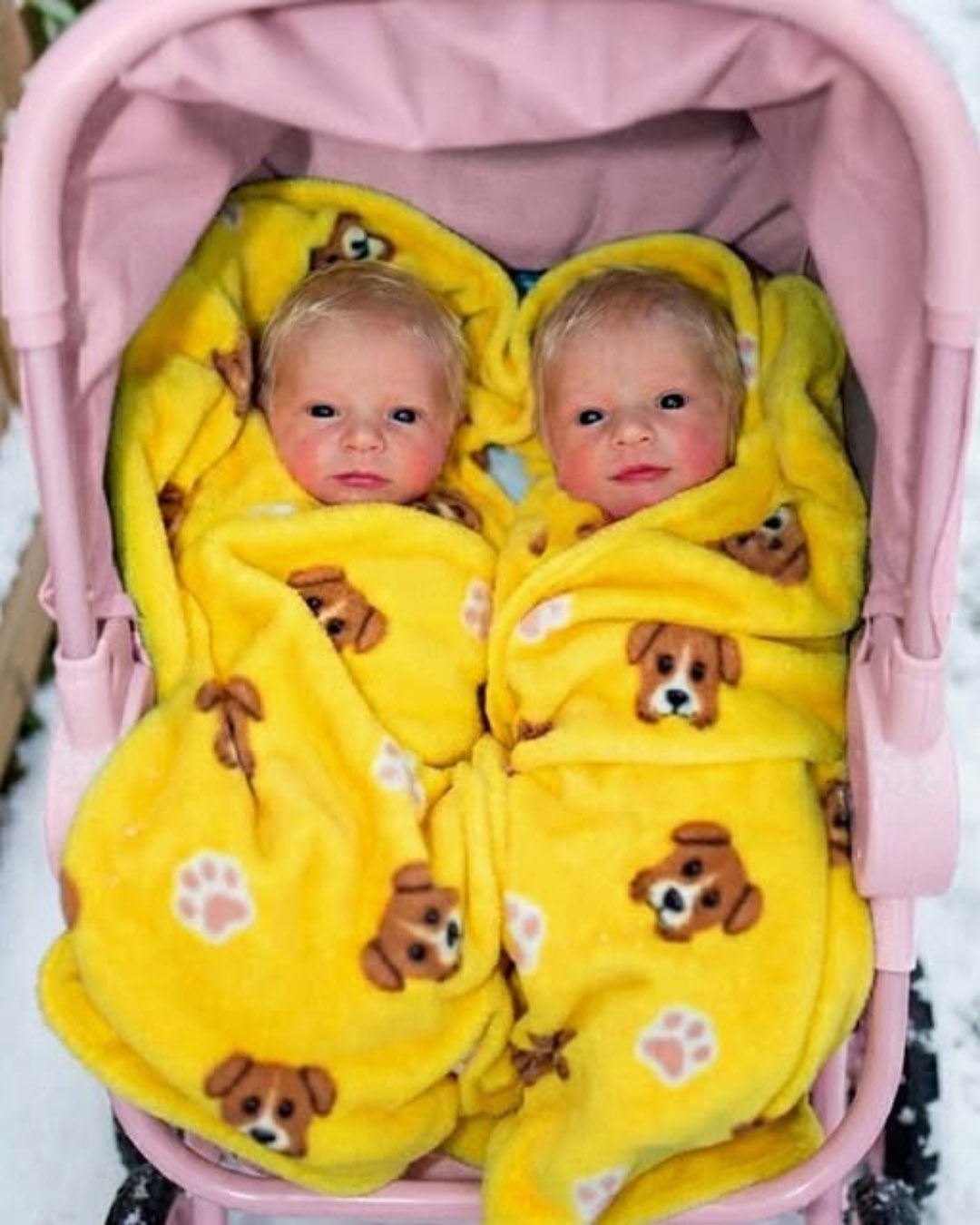 Je pensais que ma vie était déjà difficile après le divorce… jusqu’au jour où mon fils de 16 ans est entré, tenant des jumeaux nouveau-nés, et a dit : « Je ne pouvais pas les laisser derrière moi. »