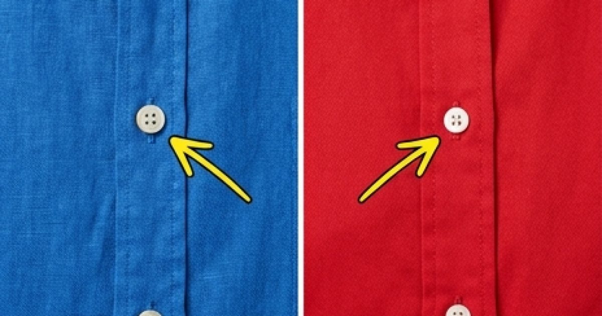 Je porte souvent des chemises, mais beaucoup de gens ignorent encore pourquoi les boutons des chemises pour femmes sont à gauche et ceux des chemises pour hommes à droite