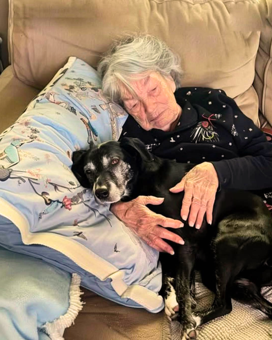 J’étais la seule à avoir amené le chien de ma grand-mère pendant que ma famille se disputait l’héritage familial — et ce geste a fini par révéler le secret de famille qu’elle m’avait laissé