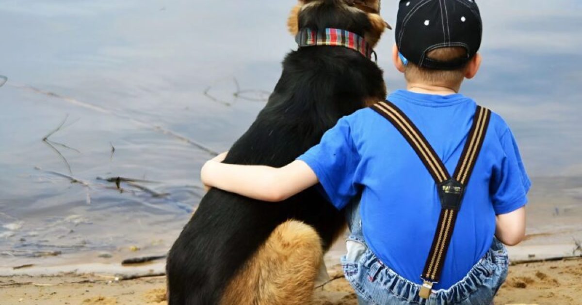 Juste avant l’opération, le garçon embrassa son chien. Mais soudain, l’animal bondit du lit et se rua sur l’un des médecins