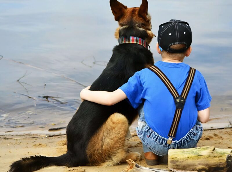 Juste avant l’opération, le garçon embrassa son chien. Mais soudain, l’animal bondit du lit et se rua sur l’un des médecins