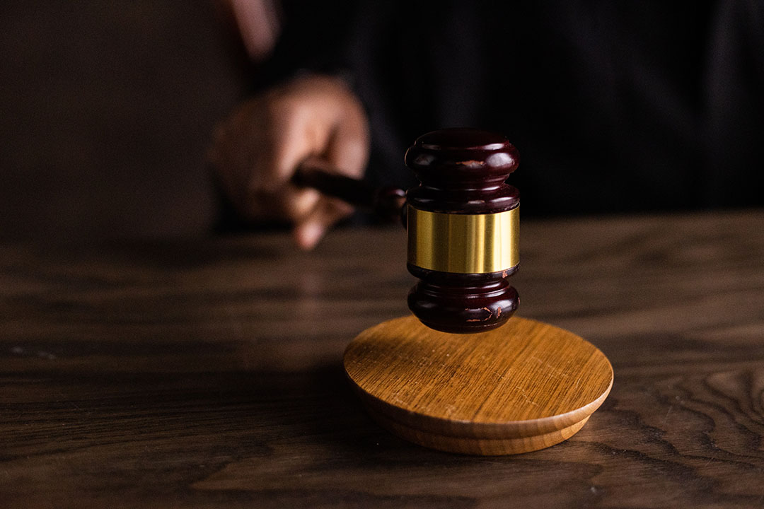 Quand un berger allemand a bouleversé un procès : l’incroyable adieu qui a changé le verdict