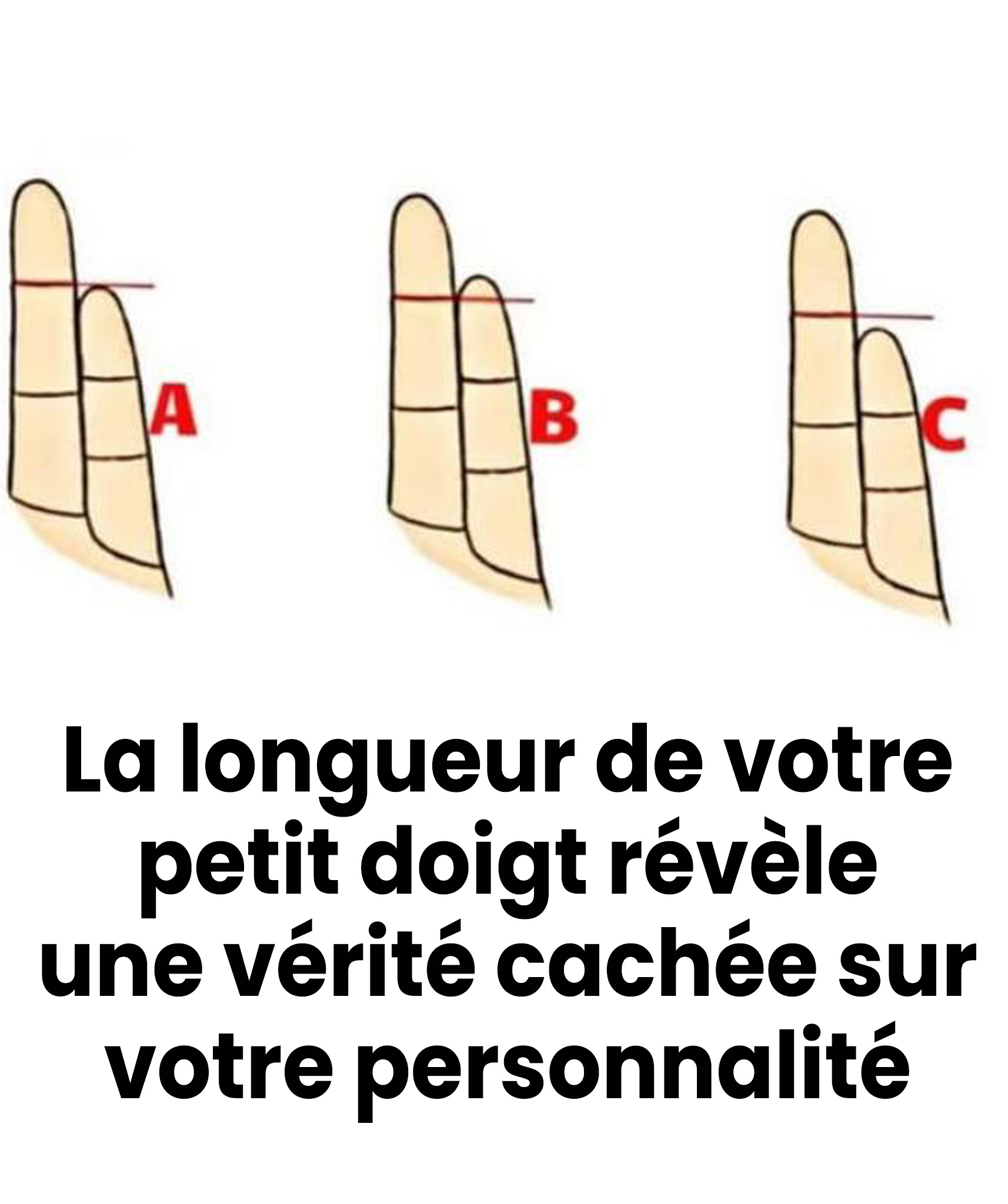 La longueur de votre petit doigt pourrait révéler des aspects insoupçonnés de votre personnalité