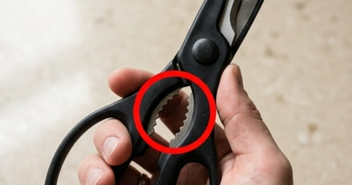 La partie dentelée des ciseaux : quand avez-vous découvert à quoi elle sert vraiment ?