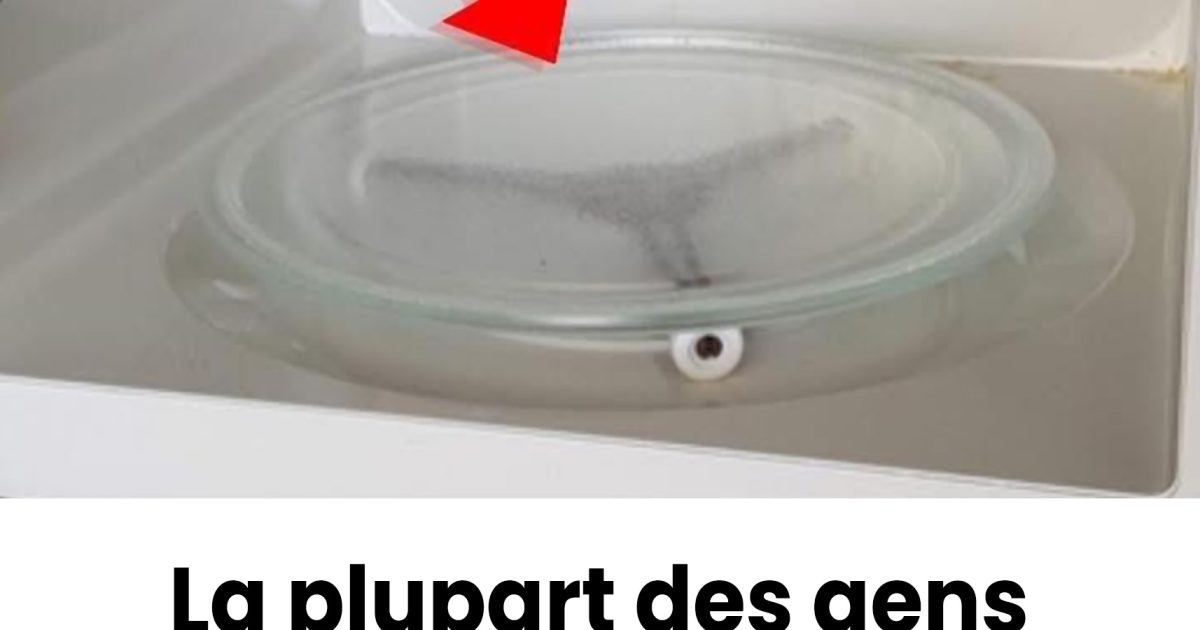 La partie du micro-ondes que presque tout le monde néglige — alors qu’elle change absolument tout.