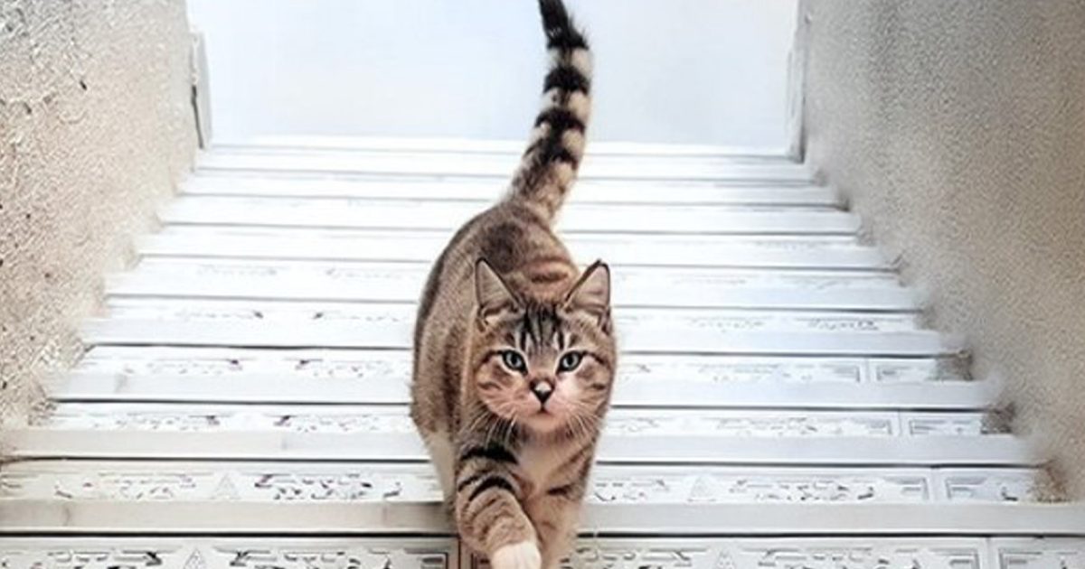 La première chose que vous verrez révélera quelque chose de profond sur votre personnalité