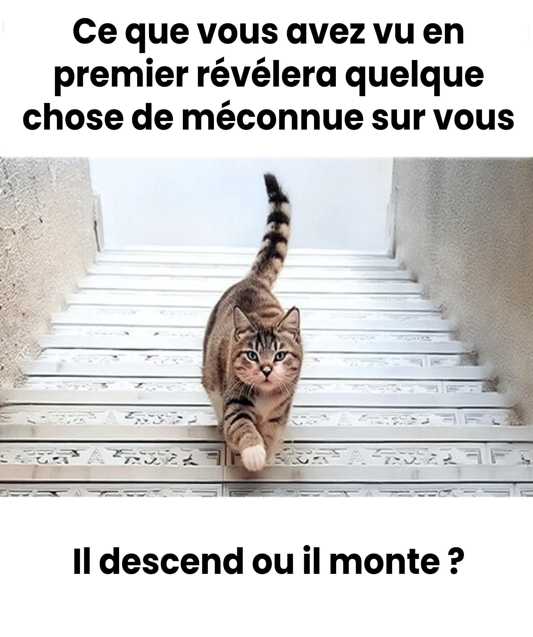 La première chose que vous verrez révélera quelque chose de profond sur votre personnalité