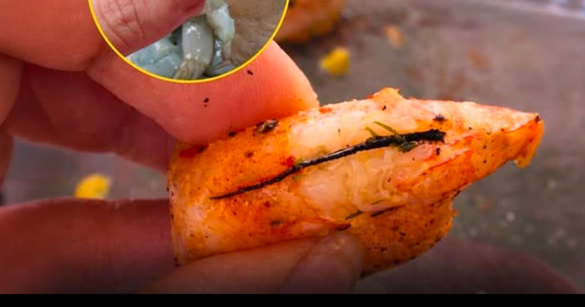 La vérité sur la veine noire des crevettes : qu'est-ce que c'est et que se passe-t-il si on la mange ?