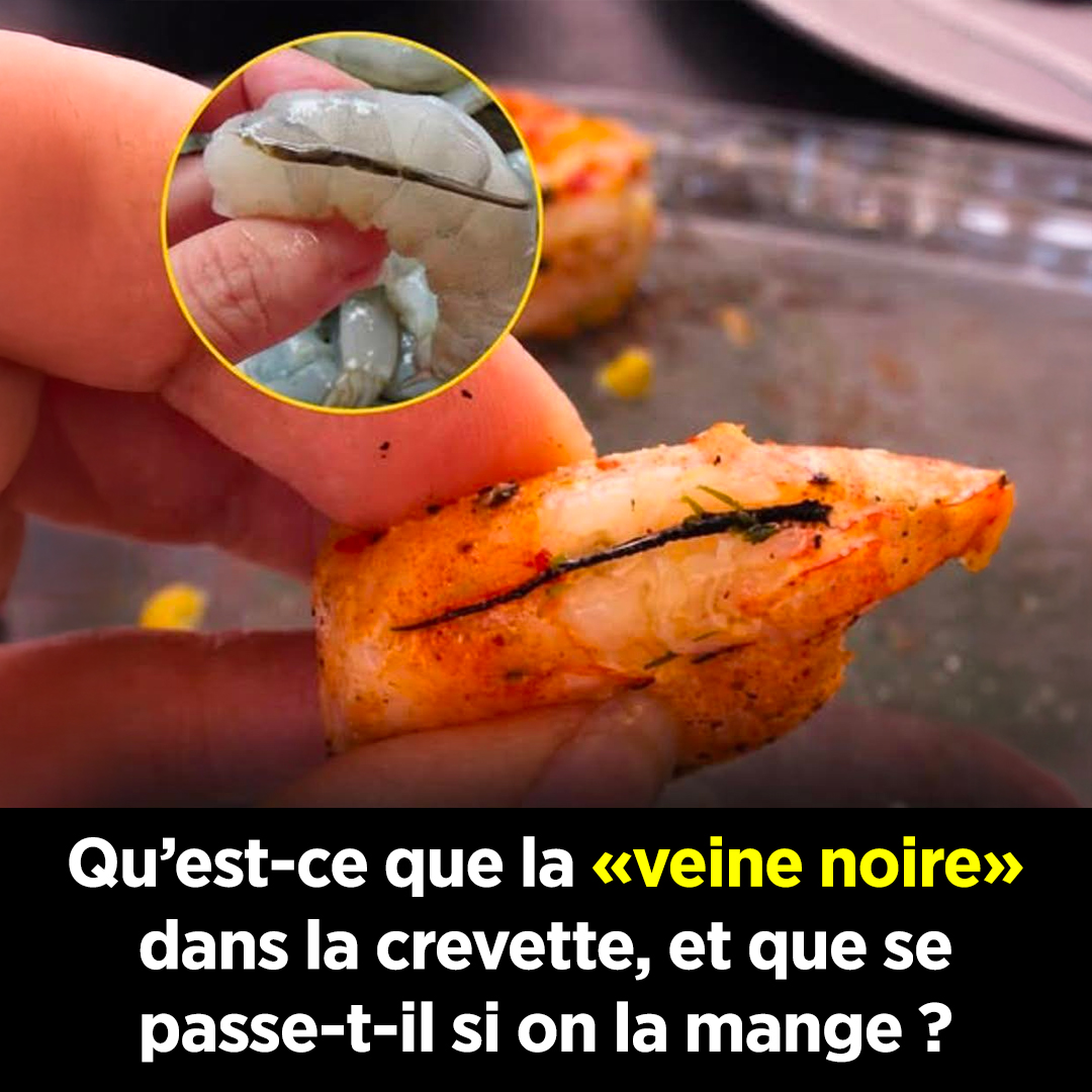 La vérité sur la veine noire des crevettes : qu'est-ce que c'est et que se passe-t-il si on la mange ?