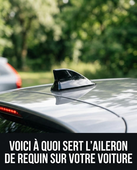 L’aileron de requin de votre voiture a une fonction importante