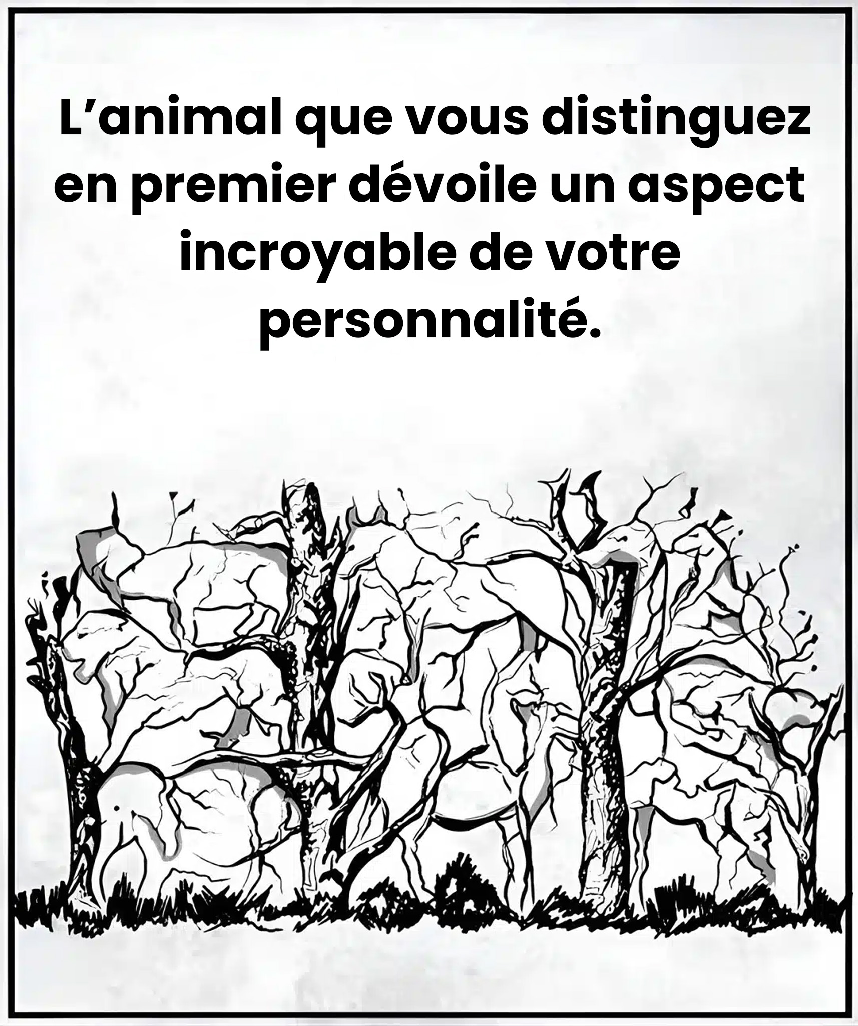 L’animal que vous verrez en premier dévoilera certains traits de votre personnalité