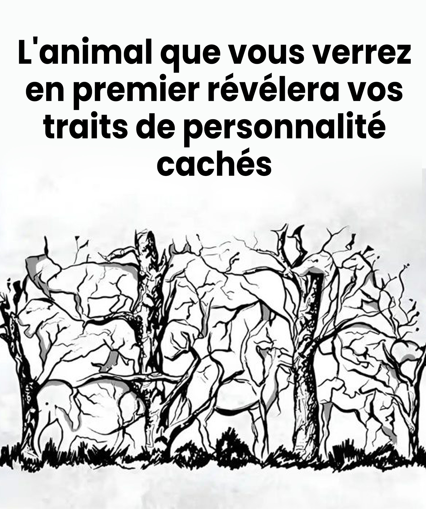 L'animal que vous verrez en premier révélera vos traits de personnalité
