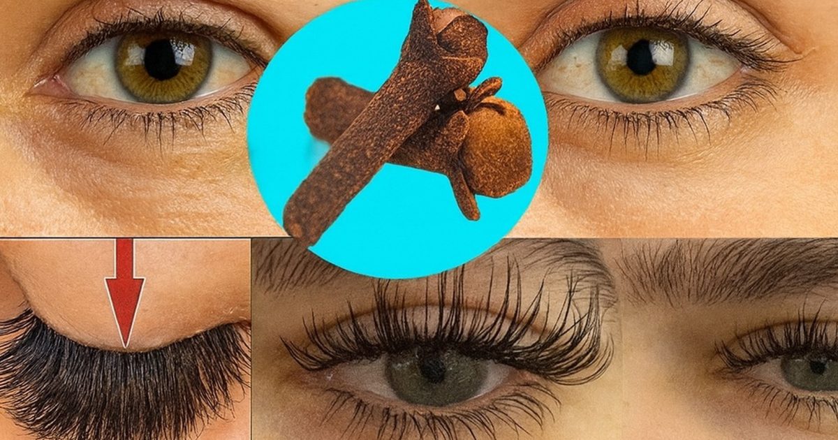L’astuce beauté des grands-mères : des sourcils épais et des cils longs en 7 jours grâce au clou de girofle