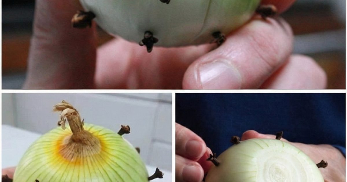 L’astuce surprenante qui consiste à piquer des clous de girofle dans un oignon