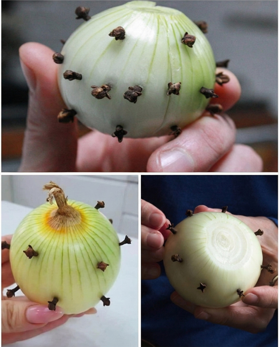 L’astuce surprenante qui consiste à piquer des clous de girofle dans un oignon