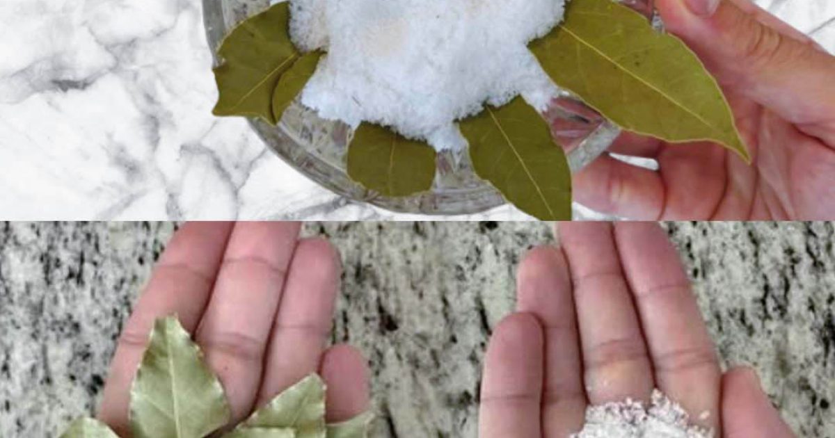 Laurier, sel et bicarbonate : une combinaison aux vertus surprenantes pour la maison