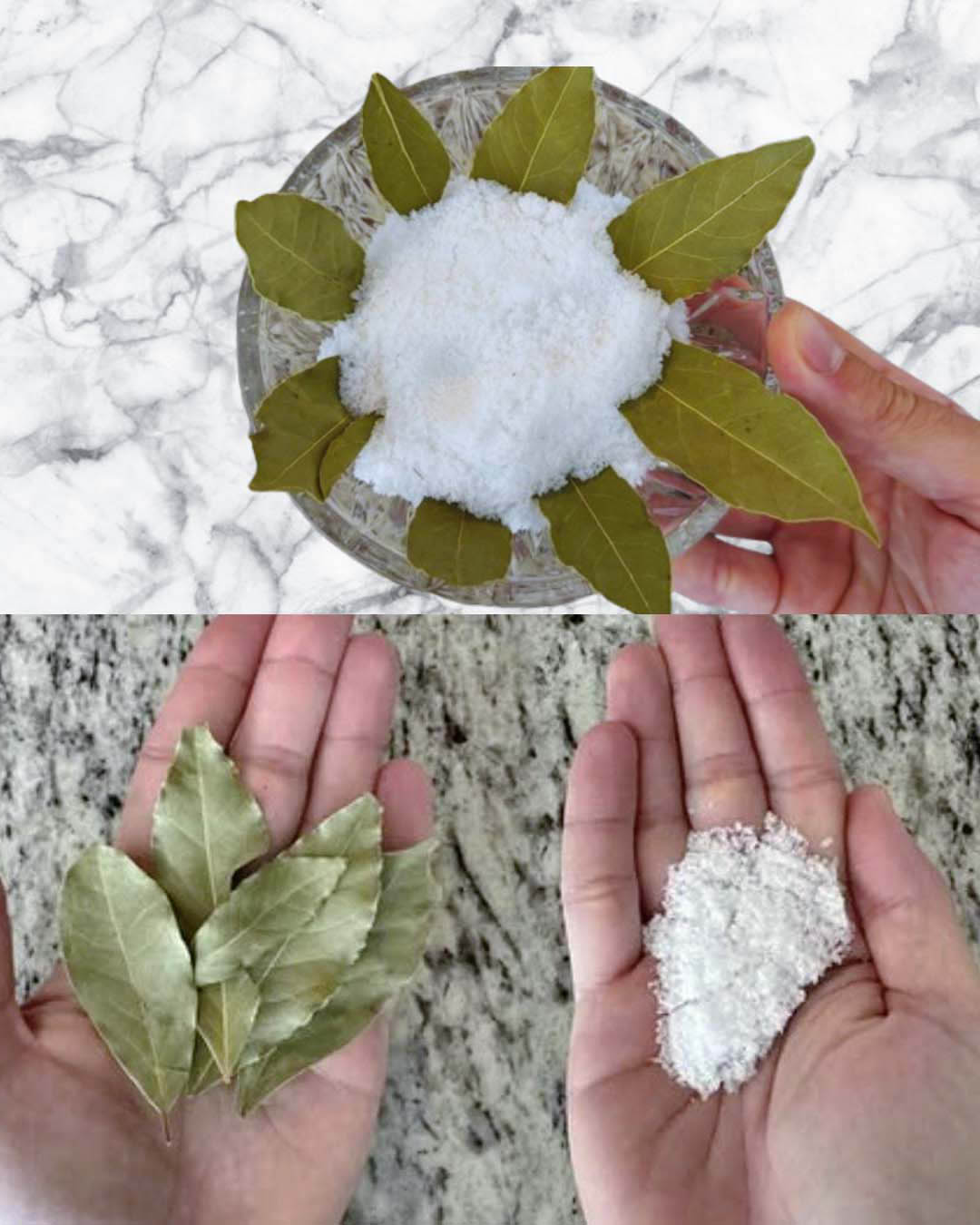 Laurier, sel et bicarbonate : une combinaison aux vertus surprenantes pour la maison