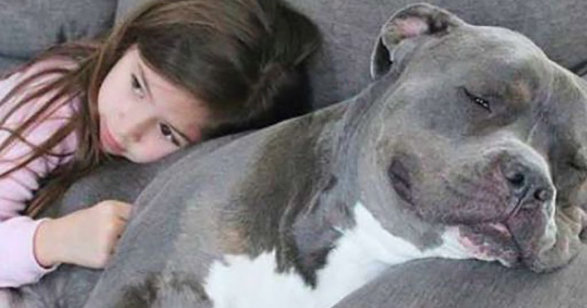 Le chien qu’ils voulaient que nous mettions dehors est la seule raison pour laquelle ma fille dort enfin toute la nuit