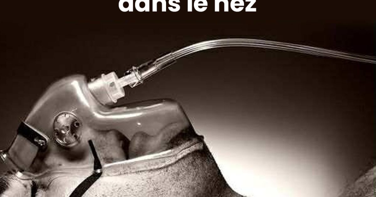 Le corps sait quand la mort est proche… et tout commence dans le nez