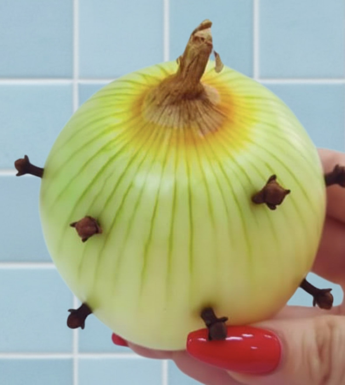 Le geste surprenant de ma grand-mère : planter un clou de girofle dans un oignon