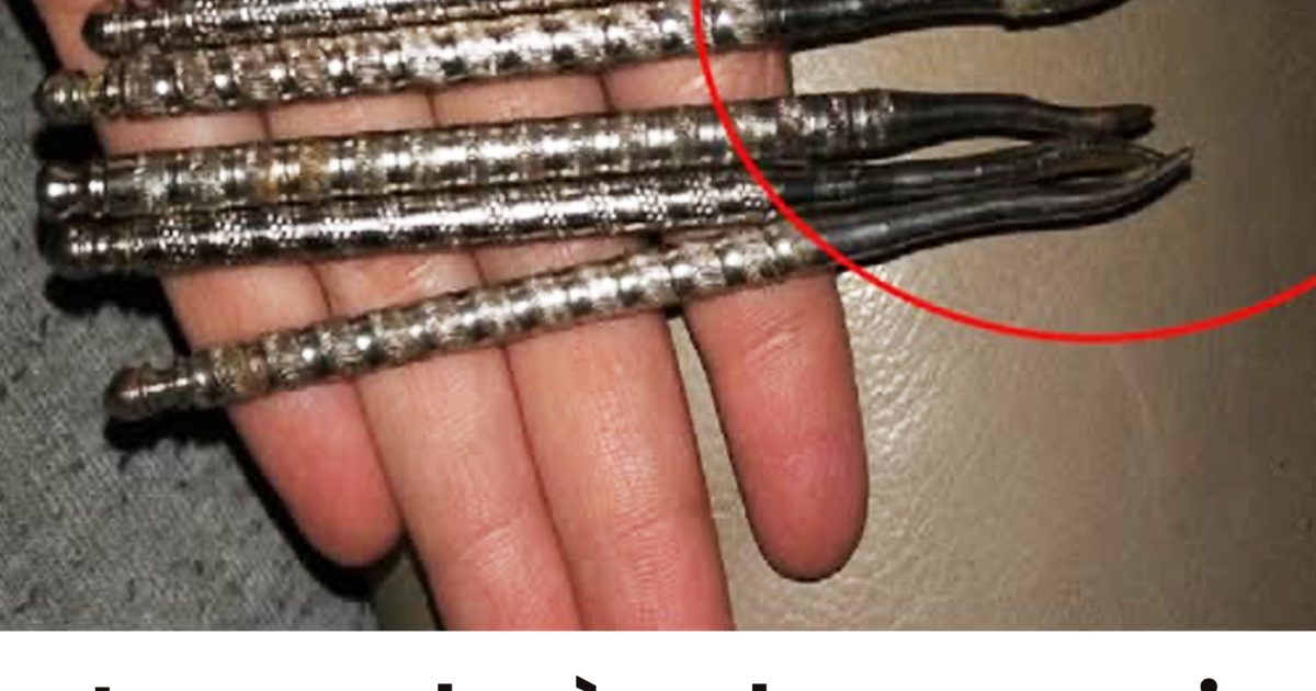 Le grand-père de mon ami est décédé, et il a récupéré ces objets… mais il n’a aucune idée de ce que c’est