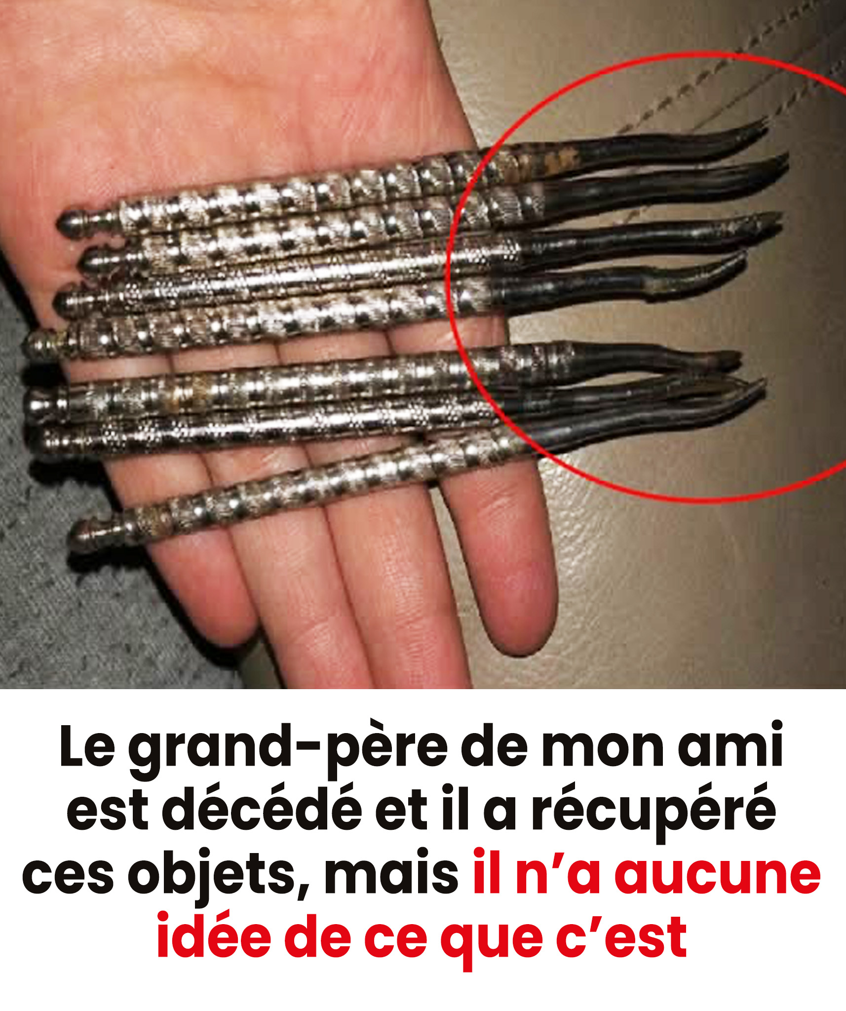 Le grand-père de mon ami est décédé, et il a récupéré ces objets… mais il n’a aucune idée de ce que c’est