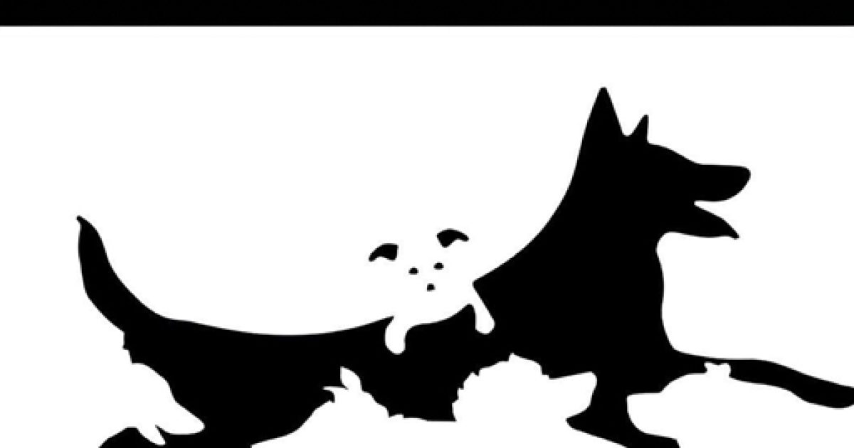 Le nombre de chiens que vous apercevez révélerait votre âge mental