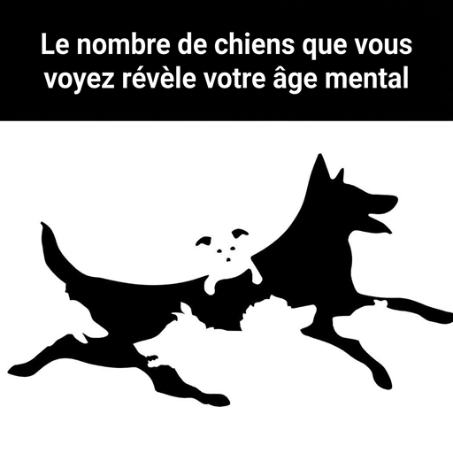Le nombre de chiens que vous apercevez révélerait votre âge mental