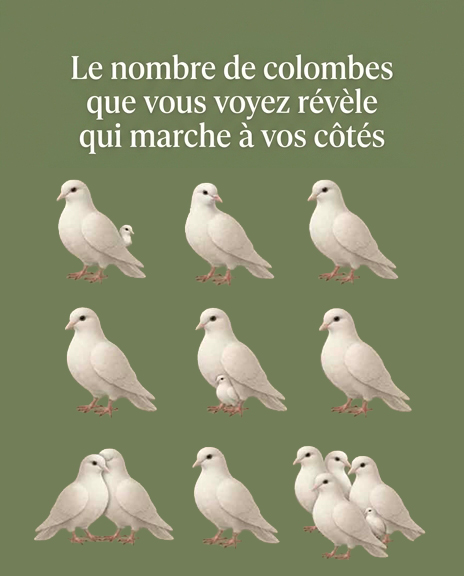 Le nombre de colombes que vous voyez révèle votre personnalité