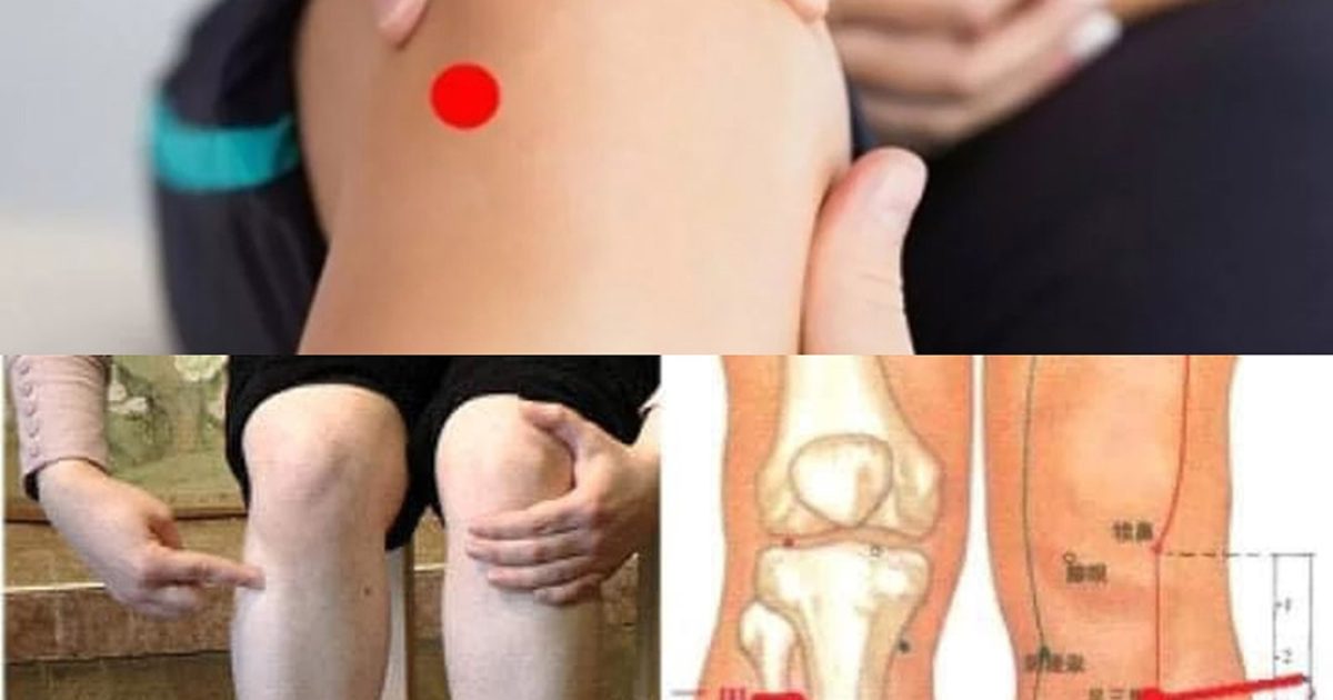 Le point qui guérit 100 maladies : la méthode la plus ancienne pour en traiter un grand nombre de maladies