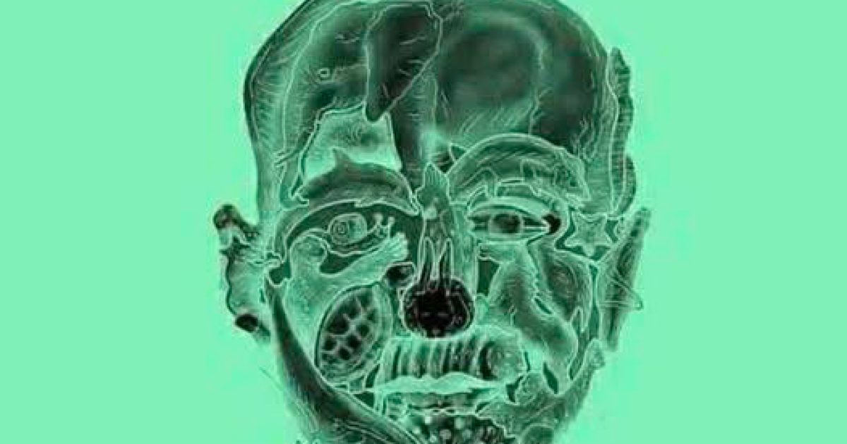 Le premier animal que vous apercevez sur cette image révèle votre « pire défaut »