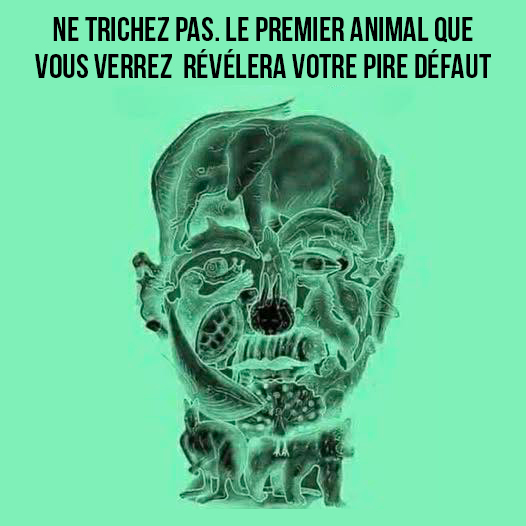 Le premier animal que vous apercevez sur cette image révèle votre « pire défaut »
