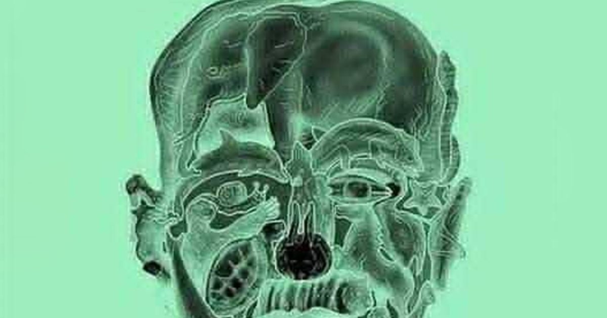 Le premier animal que vous repérez sur cette image révèle votre « pire défaut »