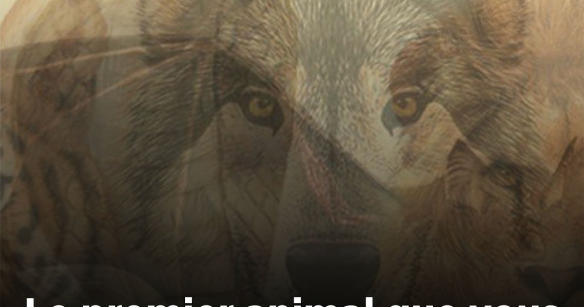 Le premier animal que vous verrez sur cette image révélera qui vous êtes !