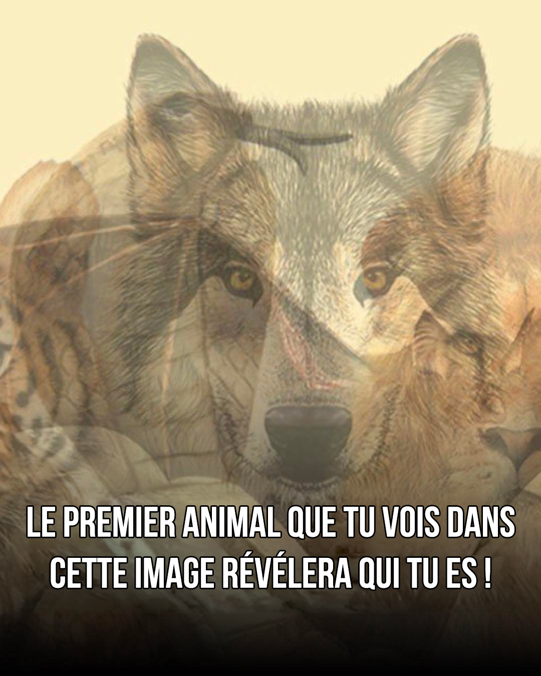 Le premier animal que vous verrez sur cette image révélera qui vous êtes !