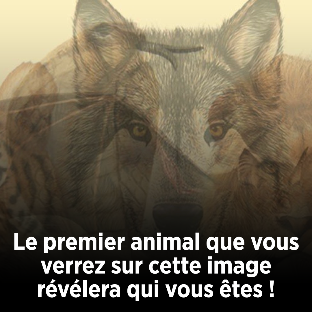 Le premier animal que vous verrez sur cette image révélera qui vous êtes !