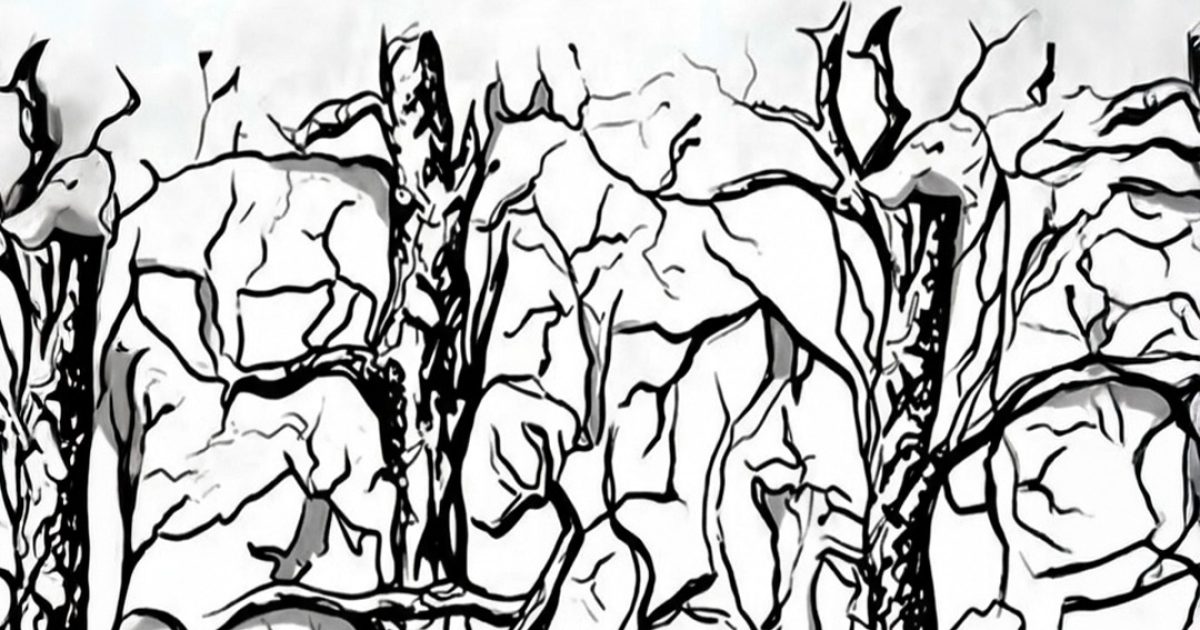 Le premier animal que vous voyez peut en dire long sur votre personnalité.