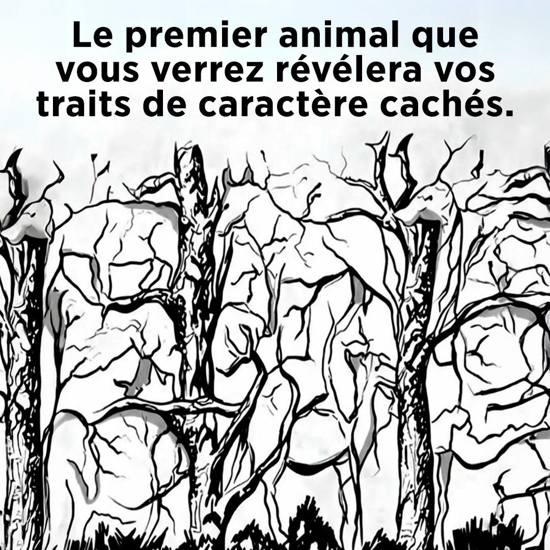 Le premier animal que vous voyez peut en dire long sur votre personnalité.