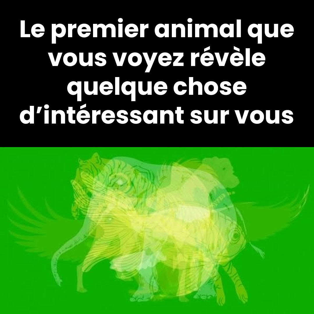 Le premier animal que vous voyez révèle quelque chose d’intéressant sur vous